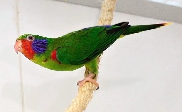 Foto 3
